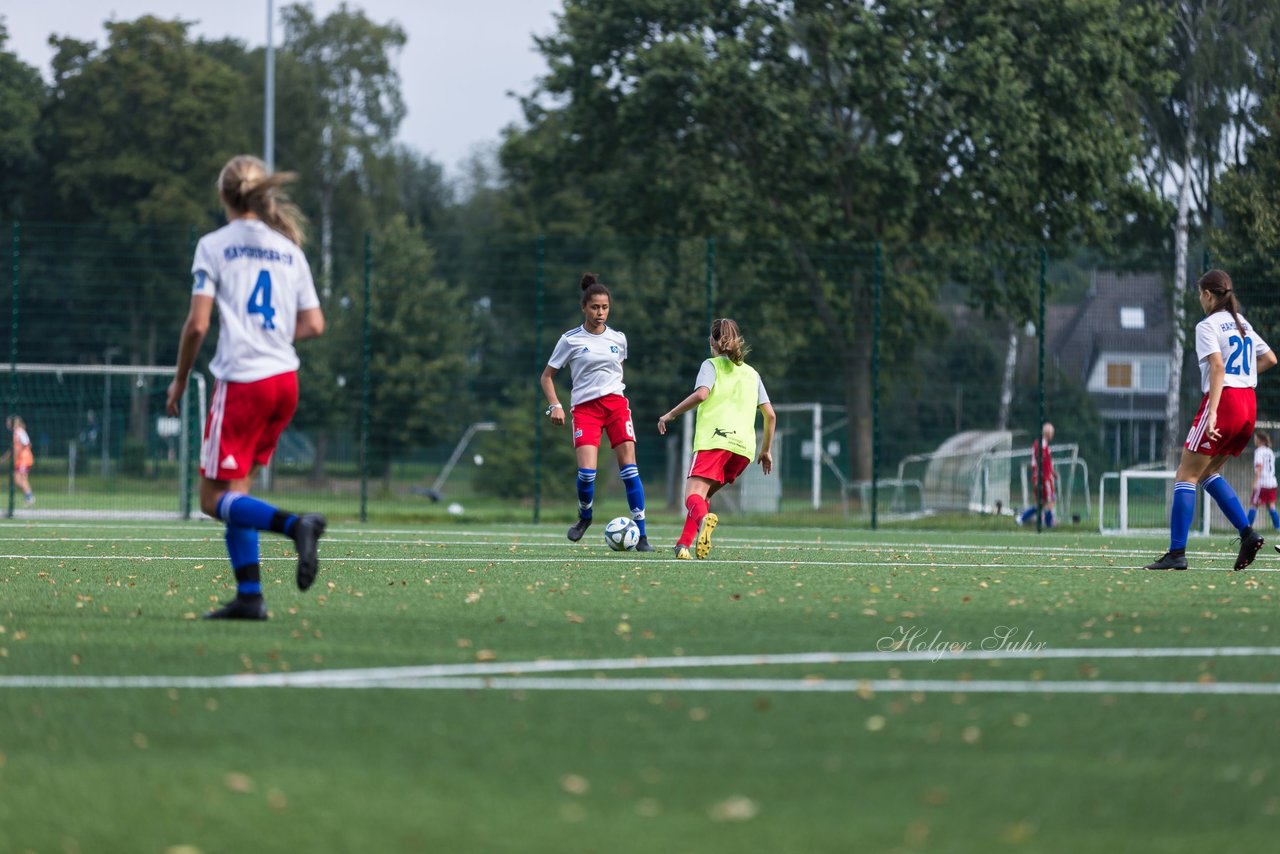 Bild 234 - C-Juniorinnen HSV - Walddoerfer : Ergebnis: 9:1